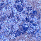 SIF_1872_0833132499_714EBY_N0881214SRLC00624_0000LMJ
