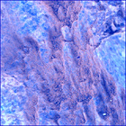 SIF_1873_0833221648_808EBY_N0881214SRLC01048_0000LMJ