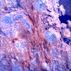 SIF_1873_0833221688_679EBY_N0881214SRLC01048_0000LMJ