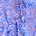 SIF_1873_0833221824_277EBY_N0881214SRLC01048_0000LMJ