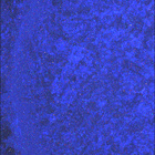 SIF_1874_0833333353_964EBY_N0881214SRLC08060_0000LMJ