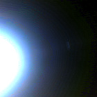 NLF_1881_0833925539_366ECM_N0881602NCAM00501_01_295J