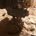 FLF_1885_0834280264_741ECM_N0881722FHAZ00215_04_075J