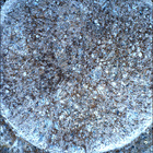 SIF_1885_0834310692_304EBY_N0881722SRLC08061_0000LMJ