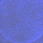 SIF_1885_0834310723_585EBY_N0881722SRLC08061_0000LMJ