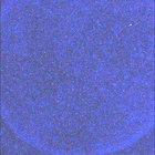 SIF_1885_0834310763_589EBY_N0881722SRLC08061_0000LMJ