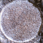 SIF_1886_0834382664_898EBY_N0881722SRLC01022_0000LMJ