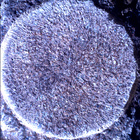 SIF_1886_0834382691_222EBY_N0881722SRLC01022_0000LMJ