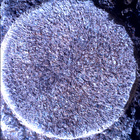 SIF_1886_0834382692_617EBY_N0881722SRLC01022_0000LMJ