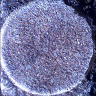 SIF_1886_0834382696_789EBY_N0881722SRLC01022_0000LMJ