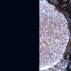 SIF_1886_0834382699_570EBY_N0881722SRLC01022_0000LMJ