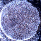 SIF_1886_0834382700_960EBY_N0881722SRLC01022_0000LMJ