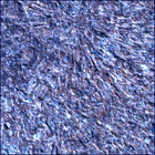 SIF_1886_0834382832_703EBY_N0881722SRLC01022_0000LMJ