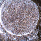 SIF_1886_0834382842_558EBY_N0881722SRLC01022_0000LMJ