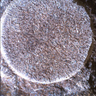 SIF_1886_0834382856_125EBY_N0881722SRLC01022_0000LMJ