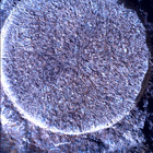 SIF_1886_0834382872_214EBY_N0881722SRLC01022_0000LMJ