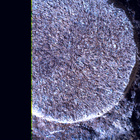 SIF_1886_0834382873_605EBY_N0881722SRLC01022_0000LMJ