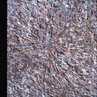 SIF_1886_0834383217_144EBY_N0881722SRLC00328_0000LMJ