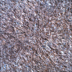 SIF_1886_0834383230_242EBY_N0881722SRLC00328_0000LMJ