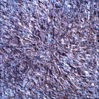 SIF_1886_0834383243_781EBY_N0881722SRLC00328_0000LMJ