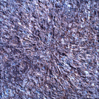 SIF_1886_0834383246_652EBY_N0881722SRLC00328_0000LMJ
