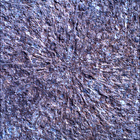 SIF_1886_0834383249_519EBY_N0881722SRLC00328_0000LMJ