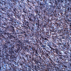 SIF_1886_0834383250_953EBY_N0881722SRLC00328_0000LMJ