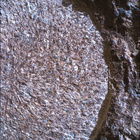 SIF_1886_0834383447_265EBY_N0881722SRLC00634_0000LMJ