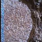 SIF_1886_0834383460_316EBY_N0881722SRLC00634_0000LMJ