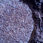 SIF_1886_0834383479_500EBY_N0881722SRLC00634_0000LMJ