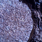 SIF_1886_0834383483_929EBY_N0881722SRLC00634_0000LMJ