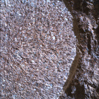 SIF_1886_0834383630_390EBY_N0881722SRLC00634_0000LMJ