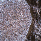 SIF_1886_0834383643_441EBY_N0881722SRLC00634_0000LMJ