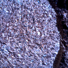 SIF_1886_0834383849_281EBY_N0881722SRLC00458_0000LMJ