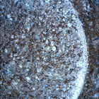 SIF_1886_0834399366_605EBY_N0881722SRLC08062_0000LMJ