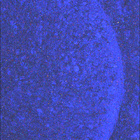 SIF_1886_0834399406_613EBY_N0881722SRLC08062_0000LMJ