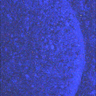 SIF_1886_0834399446_753EBY_N0881722SRLC08062_0000LMJ