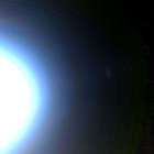 NLF_1888_0834550897_557ECM_N0881722NCAM00501_01_295J