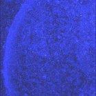 SIF_1888_0834576115_210EBY_N0881722SRLC08060_0000LMJ