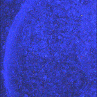 SIF_1888_0834576155_324EBY_N0881722SRLC08060_0000LMJ