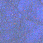 SIF_1907_0836264603_699EBY_N0891368SRLC08061_0000LMJ