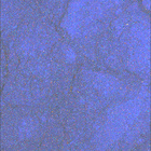 SIF_1907_0836264643_796EBY_N0891368SRLC08061_0000LMJ
