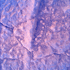 SIF_1914_0836857687_437EBY_N0892556SRLC00724_0000LMJ