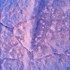 SIF_1914_0836857690_414EBY_N0892556SRLC00724_0000LMJ