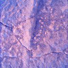 SIF_1914_0836857691_902EBY_N0892556SRLC00724_0000LMJ