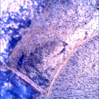 SIF_1915_0836949131_136EBY_N0892556SRLC00342_0000LMJ