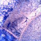 SIF_1915_0836949132_785EBY_N0892556SRLC00342_0000LMJ
