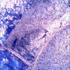 SIF_1915_0836949134_429EBY_N0892556SRLC00342_0000LMJ