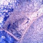 SIF_1915_0836949136_074EBY_N0892556SRLC00342_0000LMJ