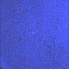 SIF_1916_0837067916_089EBY_N0892556SRLC08062_0000LMJ